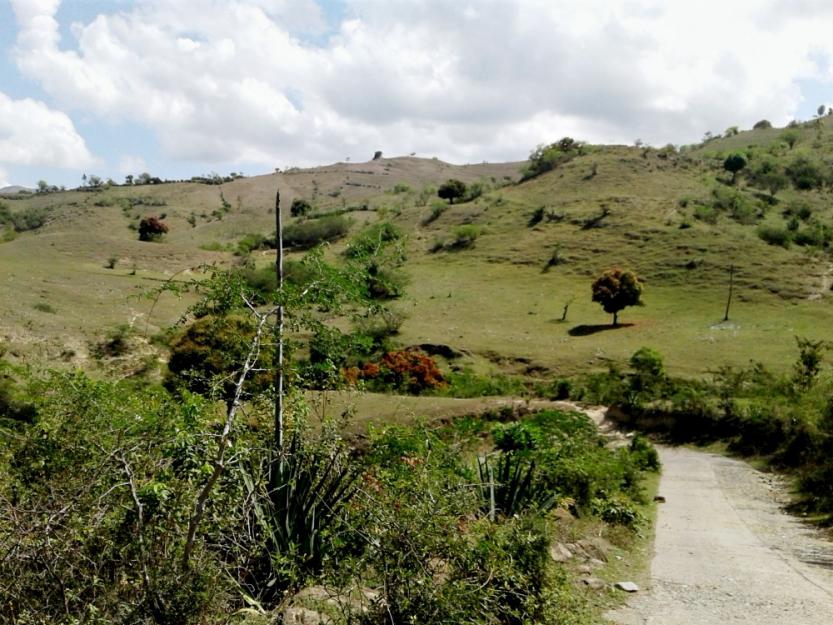 The road to Pendus, Haiti (Geri Lanham)