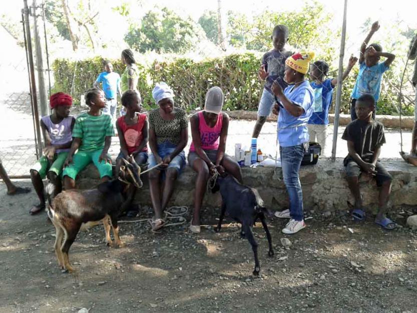 Veterinary technician Songé Sengela, in the yellow hat, asks goat clinic participants about their successes and struggles with their goats. (Geri Lanham)